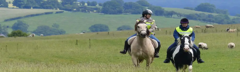 Pony Trekking