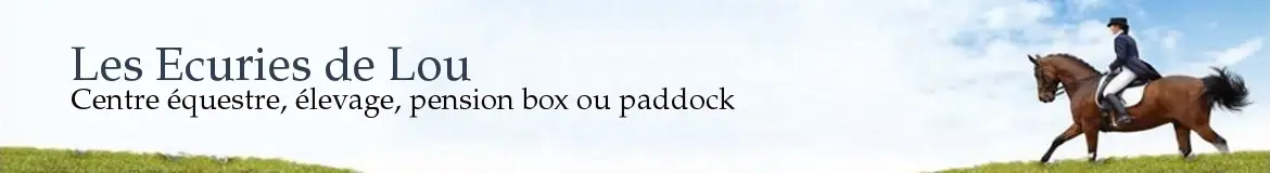 ECURIES DE LOU