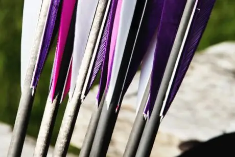 Archery NB