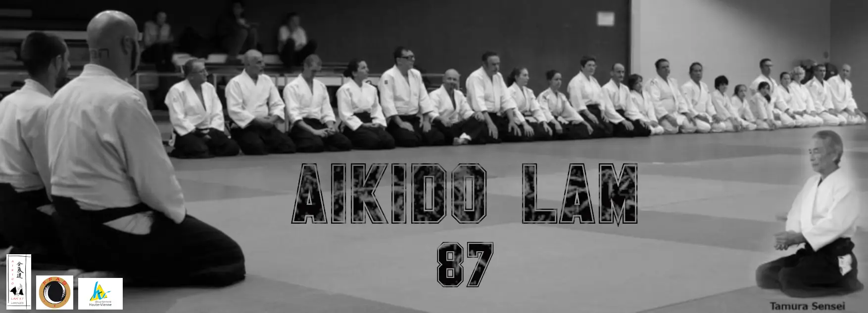 Aïkido LAM 87