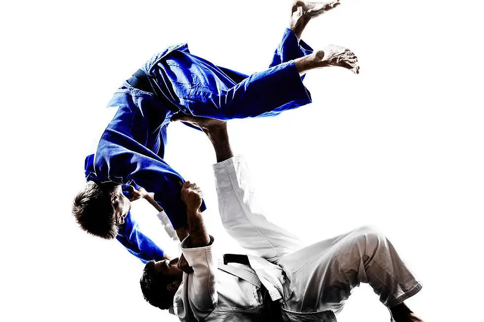 Asnieres Judo School Aulagnier