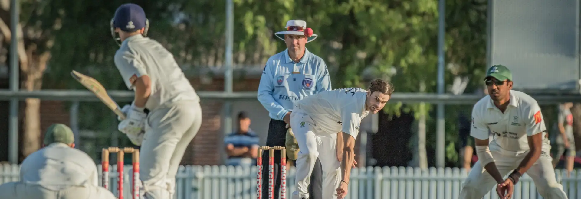 Warringah Cricket Club