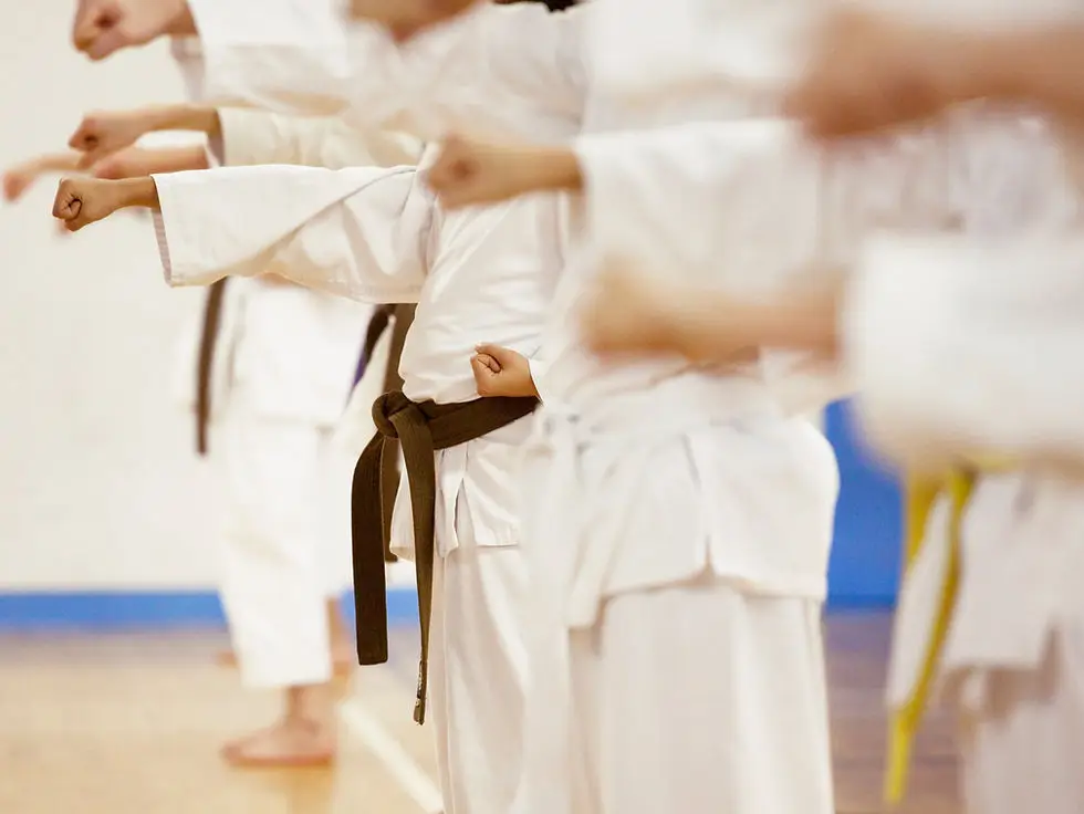 Kyosho Karate Hurworth
