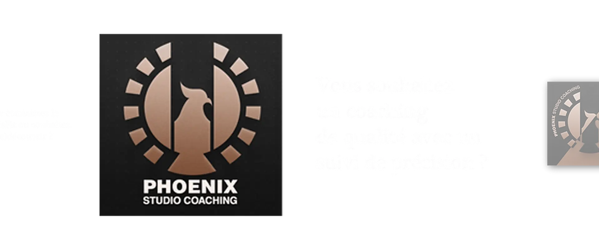 Crossfit Hinotori / Phoenix Coaching