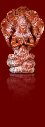 OM YOGA CENTER