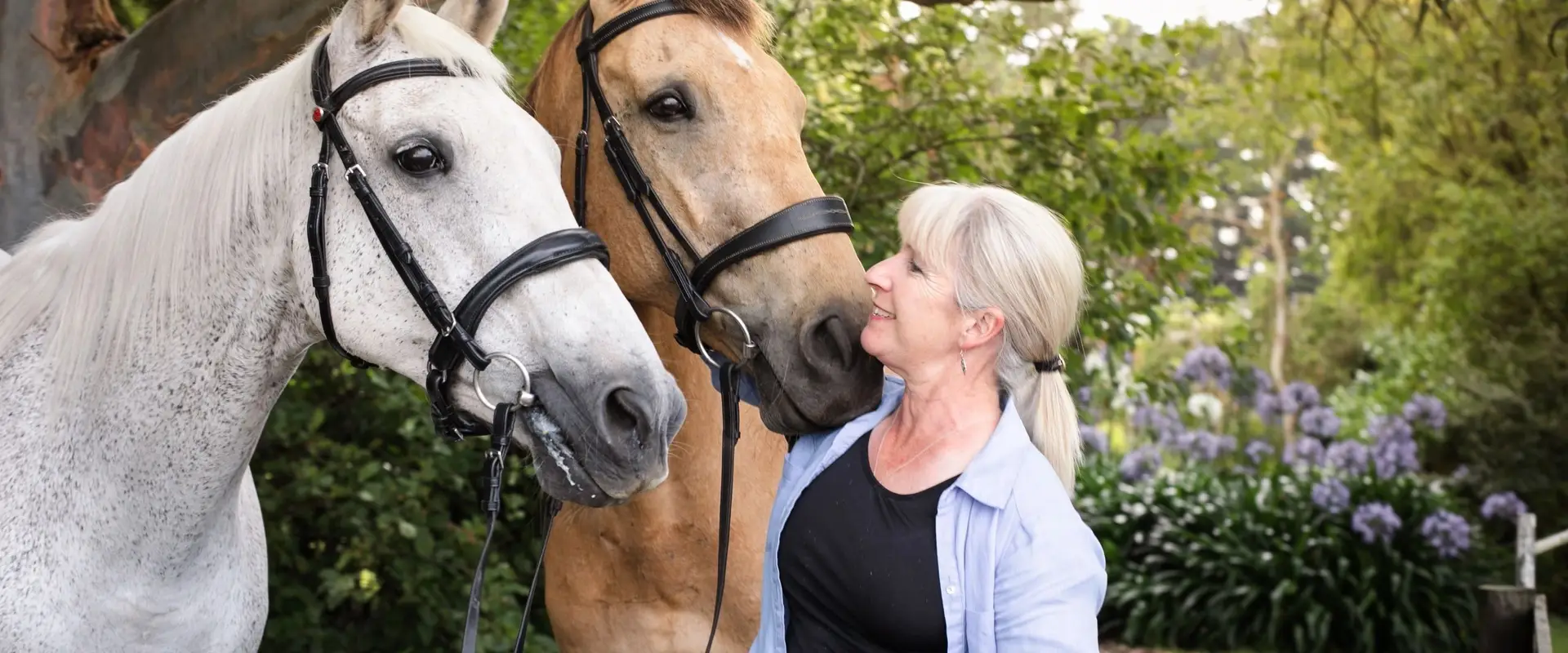 Cumberland Equine
