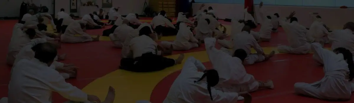 Golden Triangle Aikido