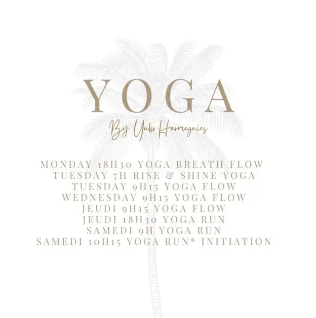 Group Yoga Classes