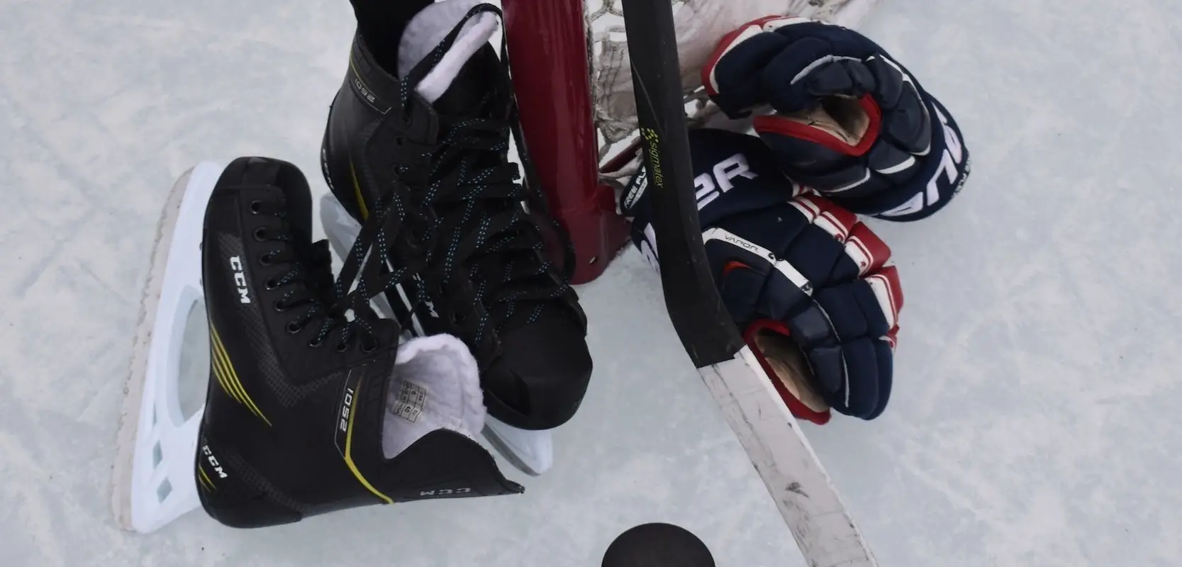 Fort Hockey Development