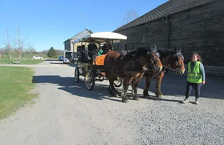 Balades En Calèche : Les Sabots Du Relais