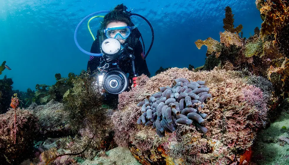 Dive Eden