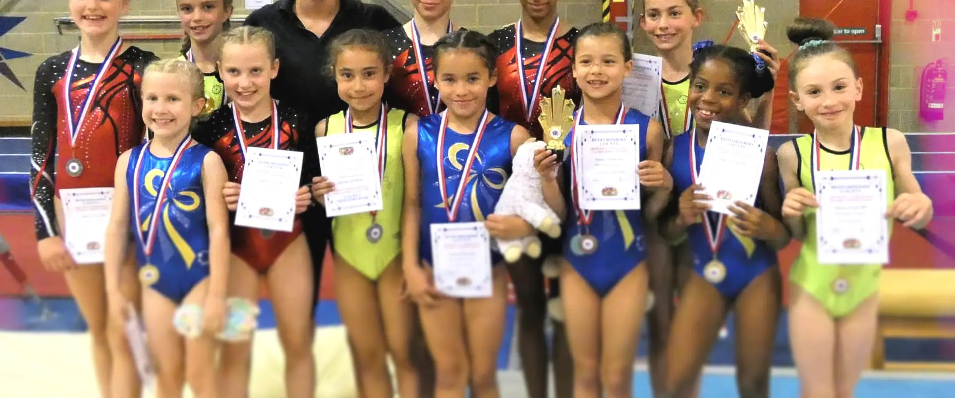 Luton Gymnastics Club