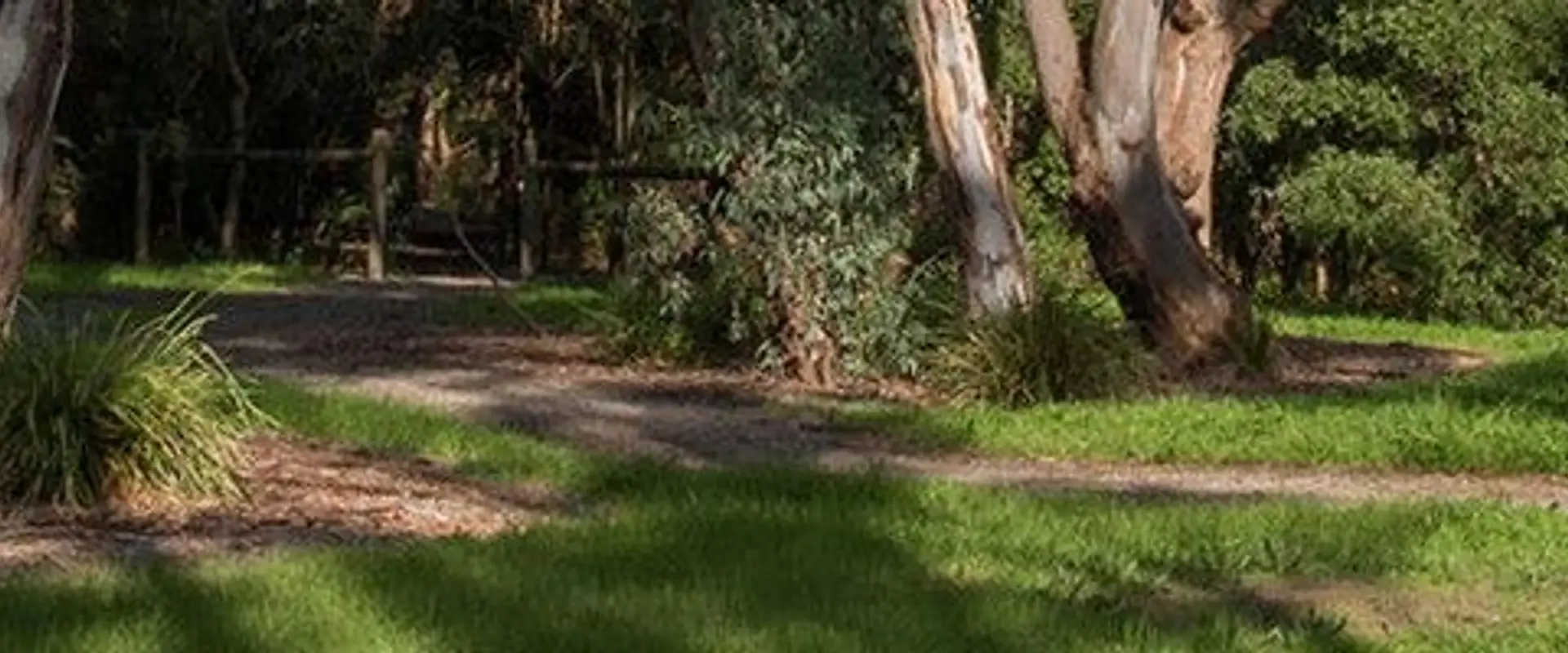Fotheringham Reserve (Recreation Area)