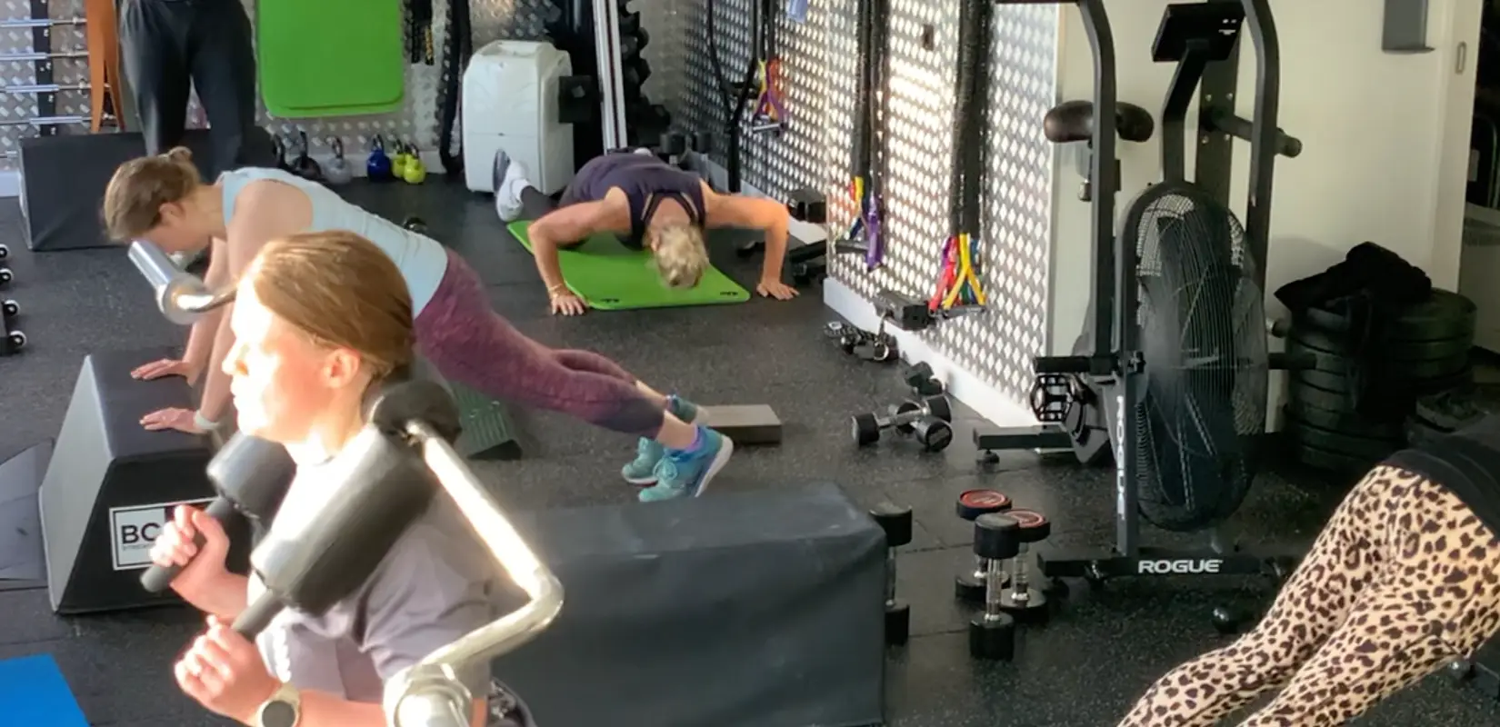 Fitcure