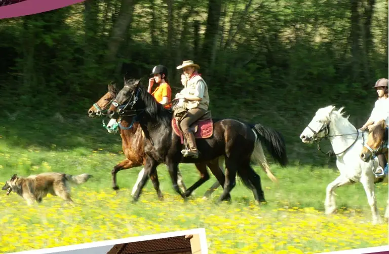 FERME EQUESTRE DE PESTEAU