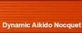 Dynamic Aikido Nocquet U