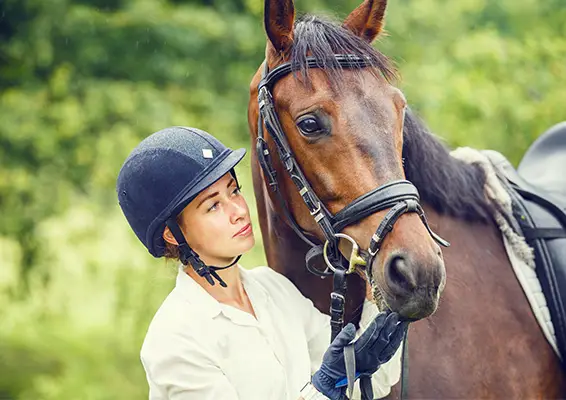 Merrist Wood Equine Arena