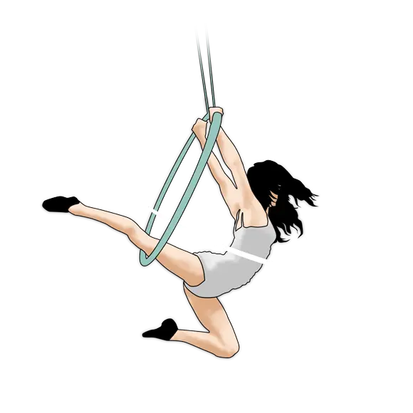 Aerial Cherry Studio
