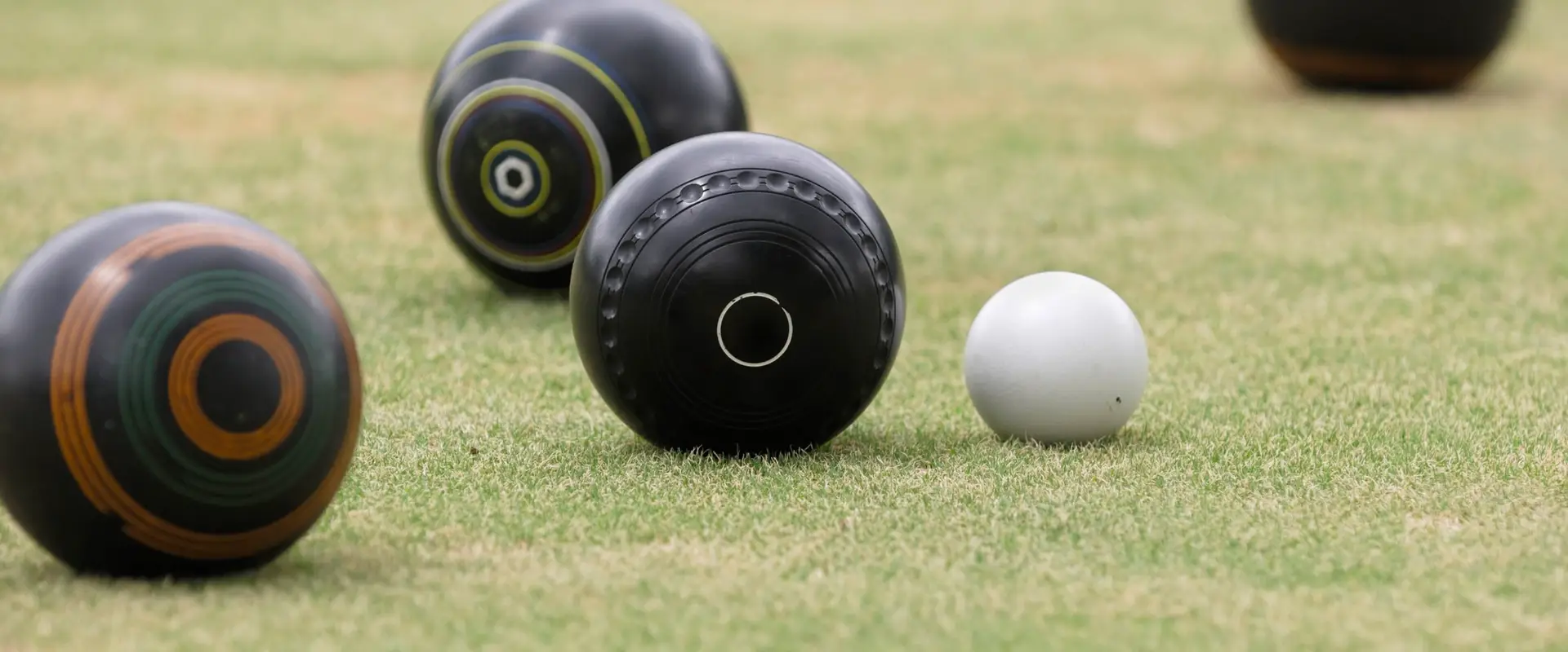 Mount Albert Bowling Club