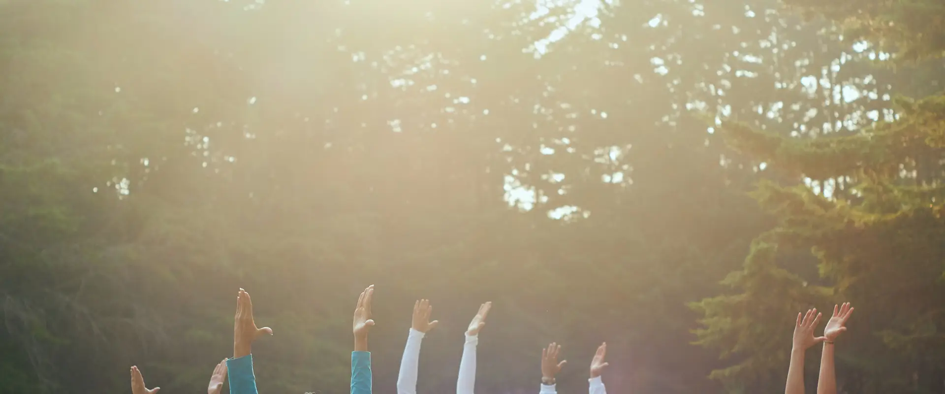 Cours De Yoga, Massage & Formation Sonothérapie, Naturopathie, Méditation, Relaxation ~ Nature & Sens -