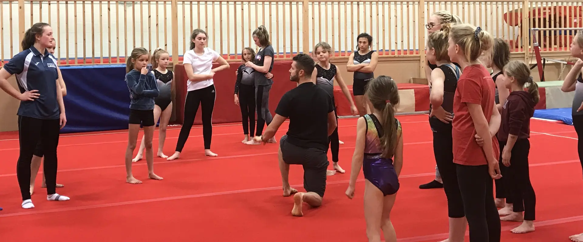 Severn Gymnastics and Trampoline Club