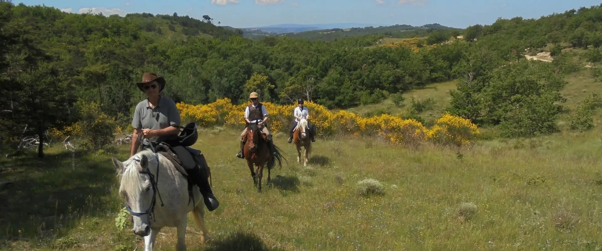 CAP RANDO - Voyages à cheval - Randonnées équestres en Provence, en France et à l'étranger