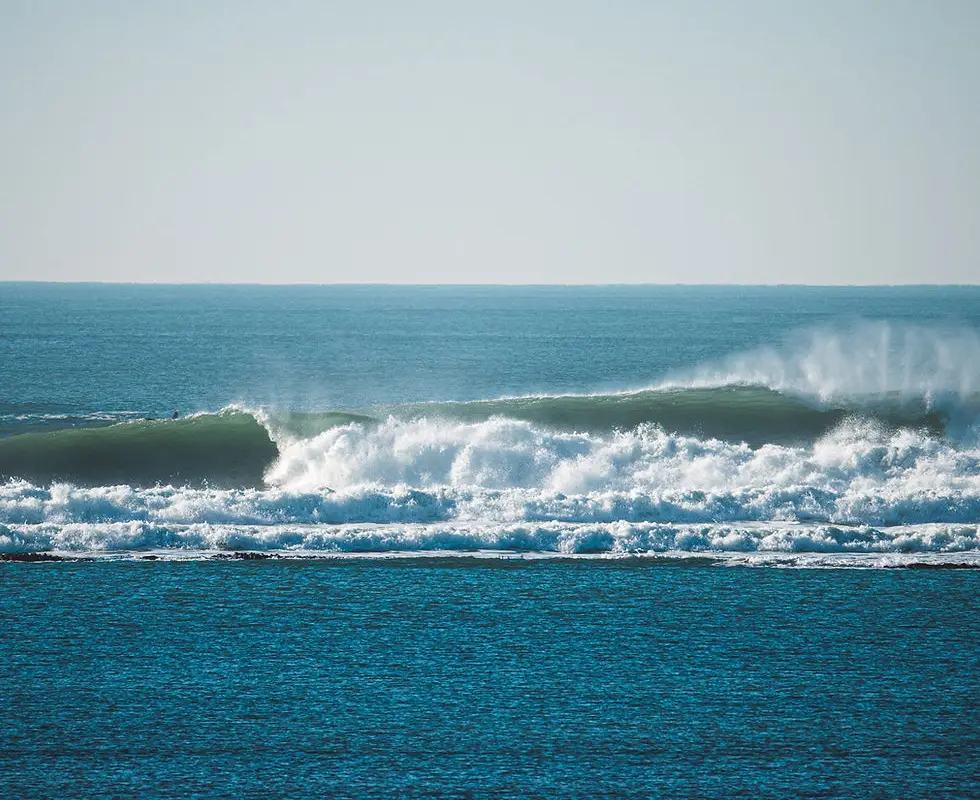 Drop'in Surf Academy