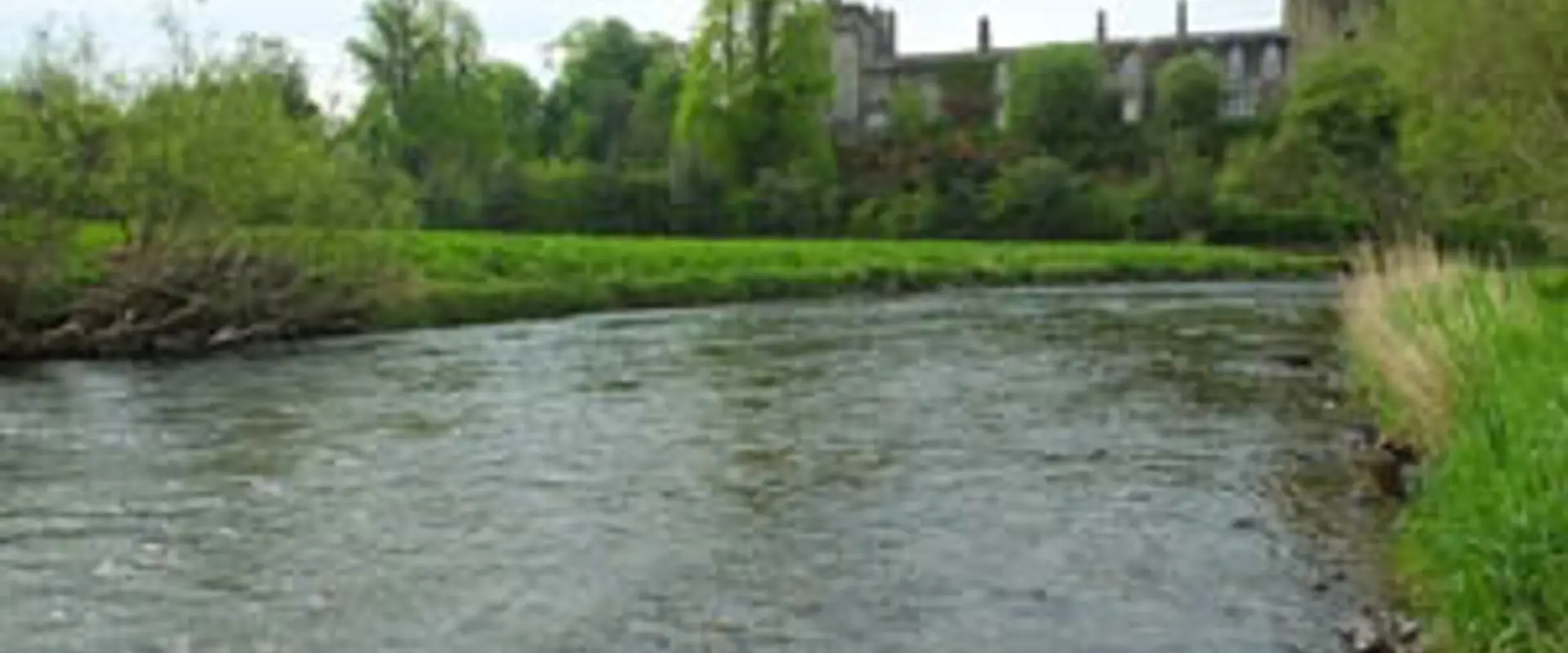 Castle Fisheries