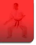 Phoenix Martial Arts
