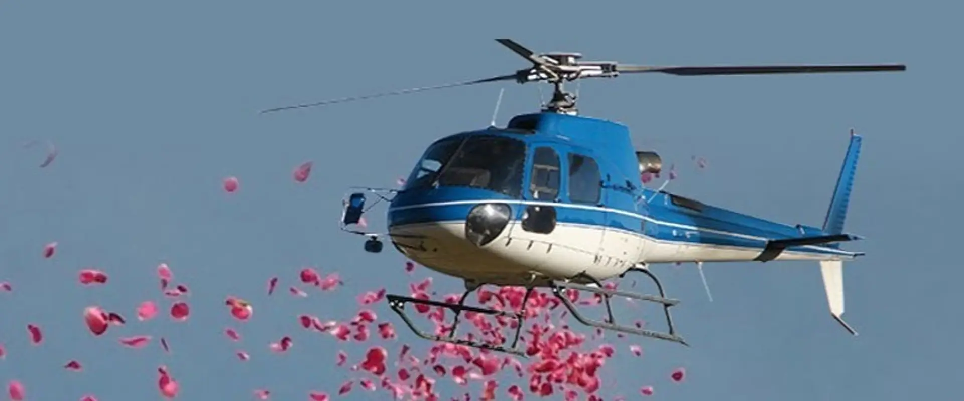 Royal Skytech Aviation Private Limited