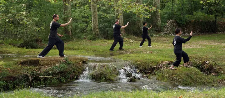 Dragon Martial Arts Association (Brighton & Hove)