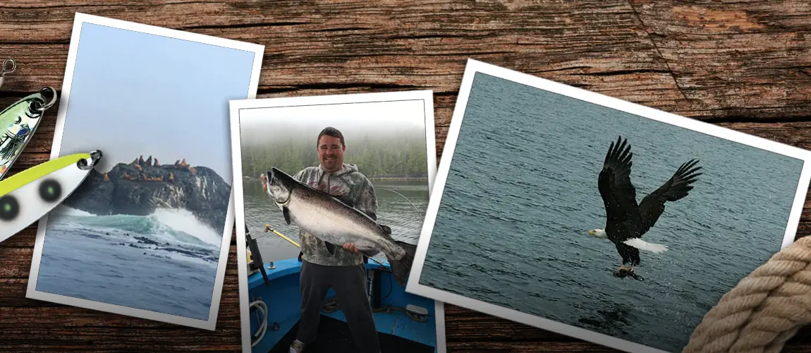 Silverfox Marine Charters
