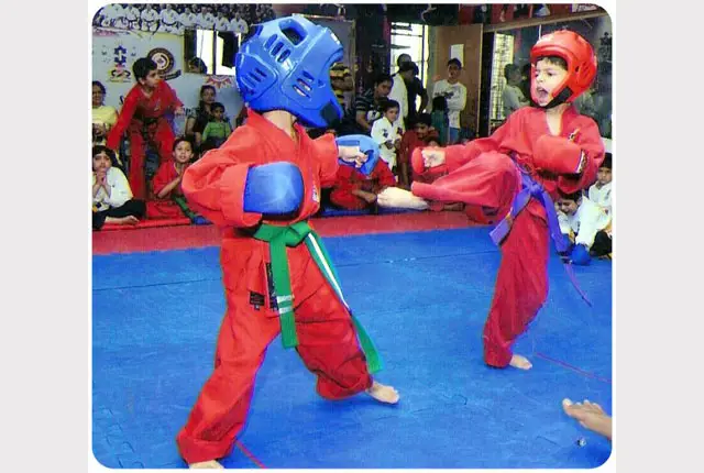 Sanjay Karate School