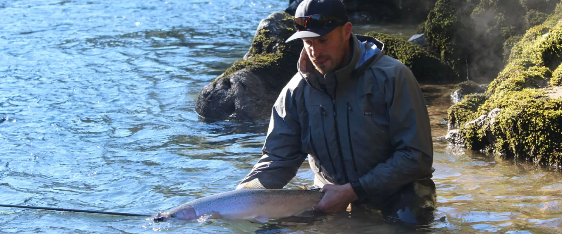 Tofino Fish Guides