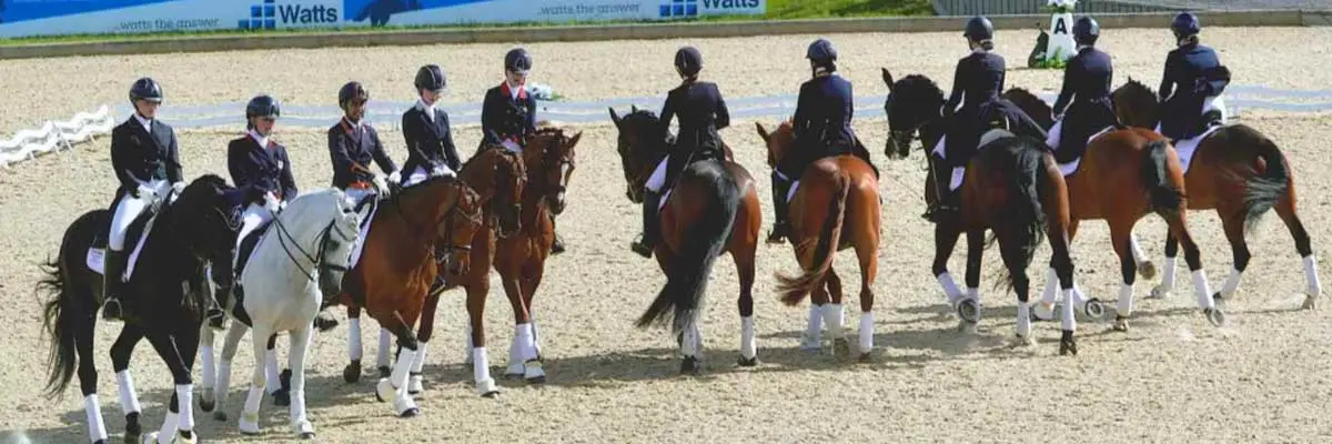 G&T Saddles