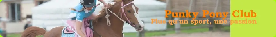Le Punky Pony Club