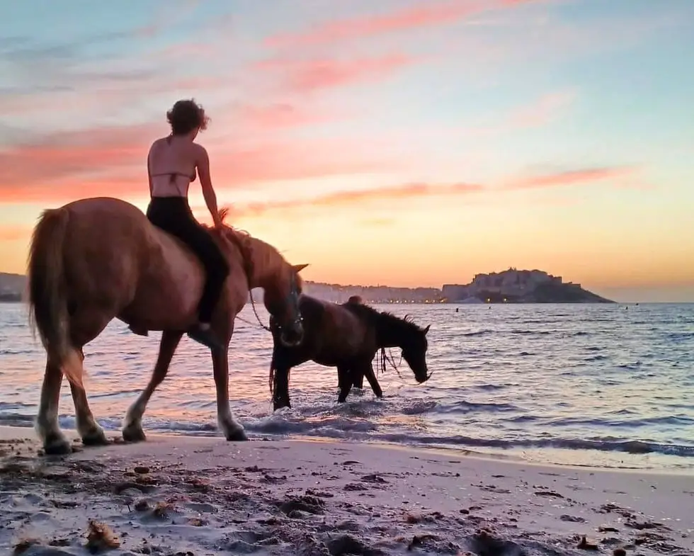 Women Horse, Balade A Cheval Et Poney En Corse, Debourrage, Cours, Stages, Passage De Galop
