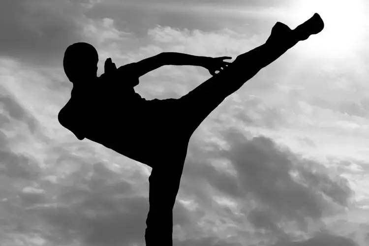 Sei Shin Kan School of Karate