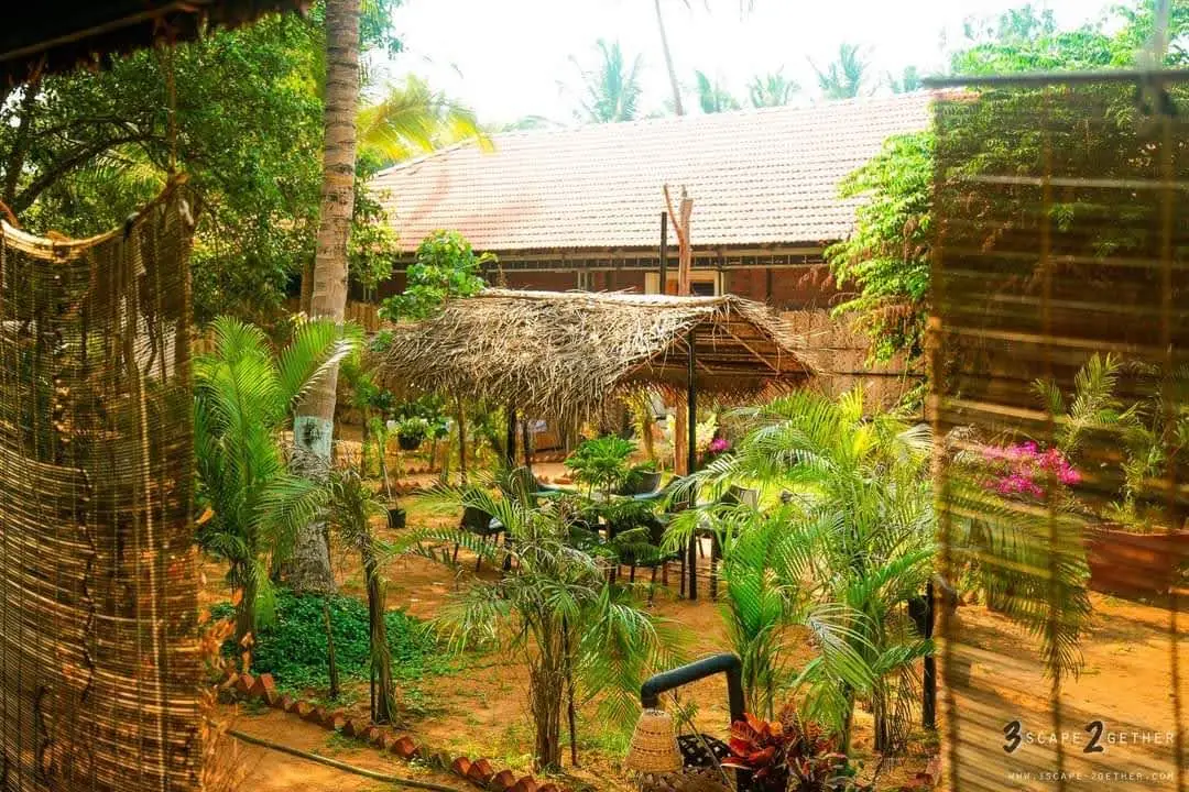 Peace Yoga Retreat - Yoga School in Goa ( Yoga TTC)