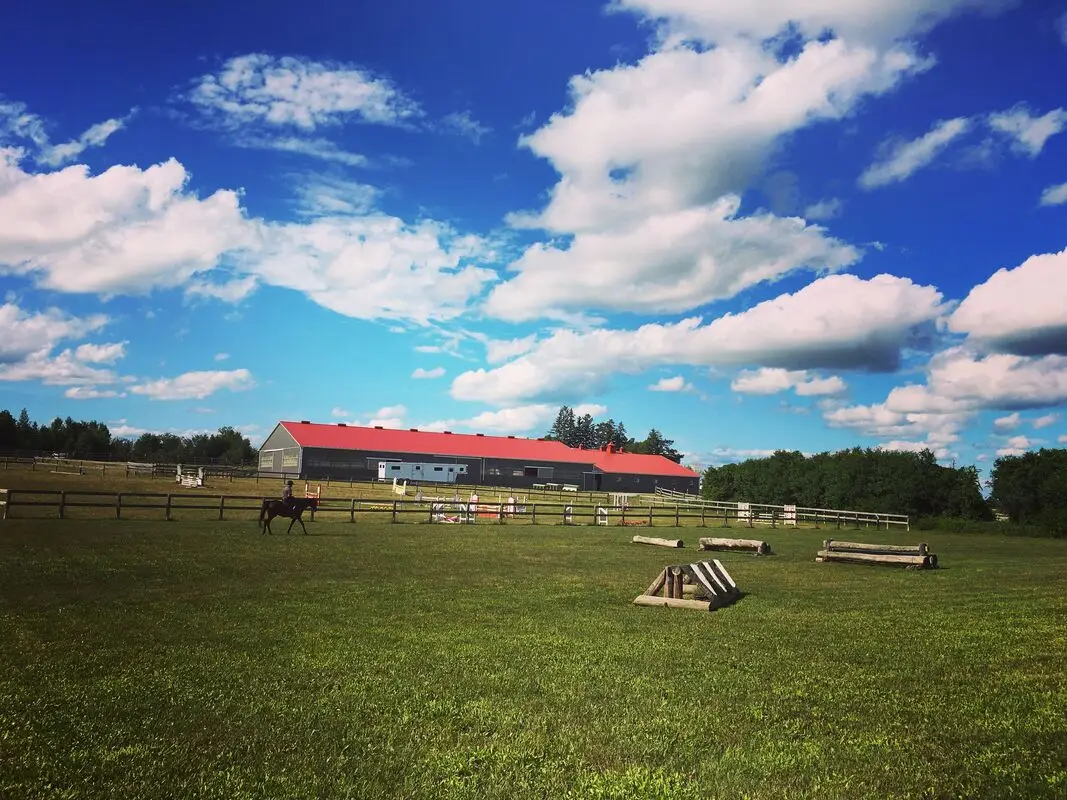 Sunnymead Farm