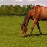 Rein & Shine Equestrian Centre