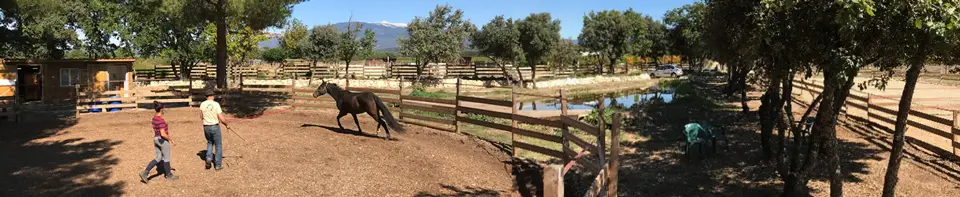 Lucky Horse Ranch