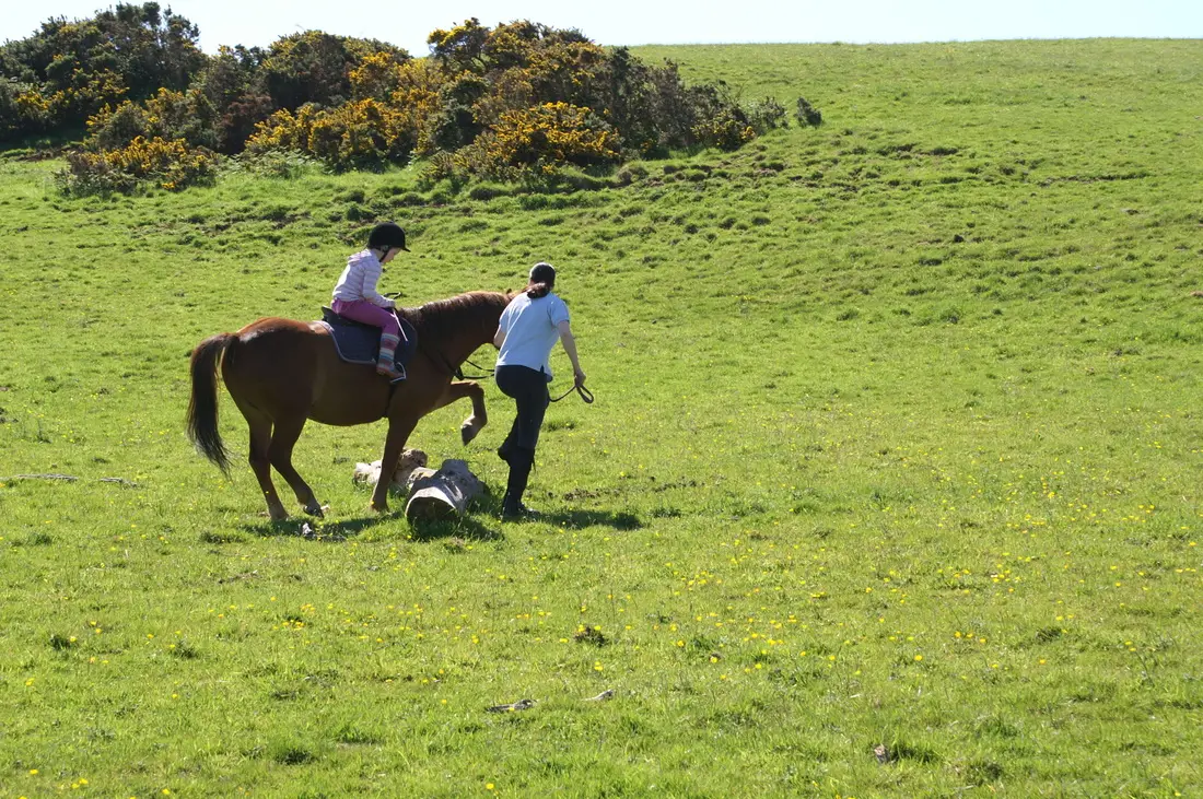 Boydstone Farm Stables