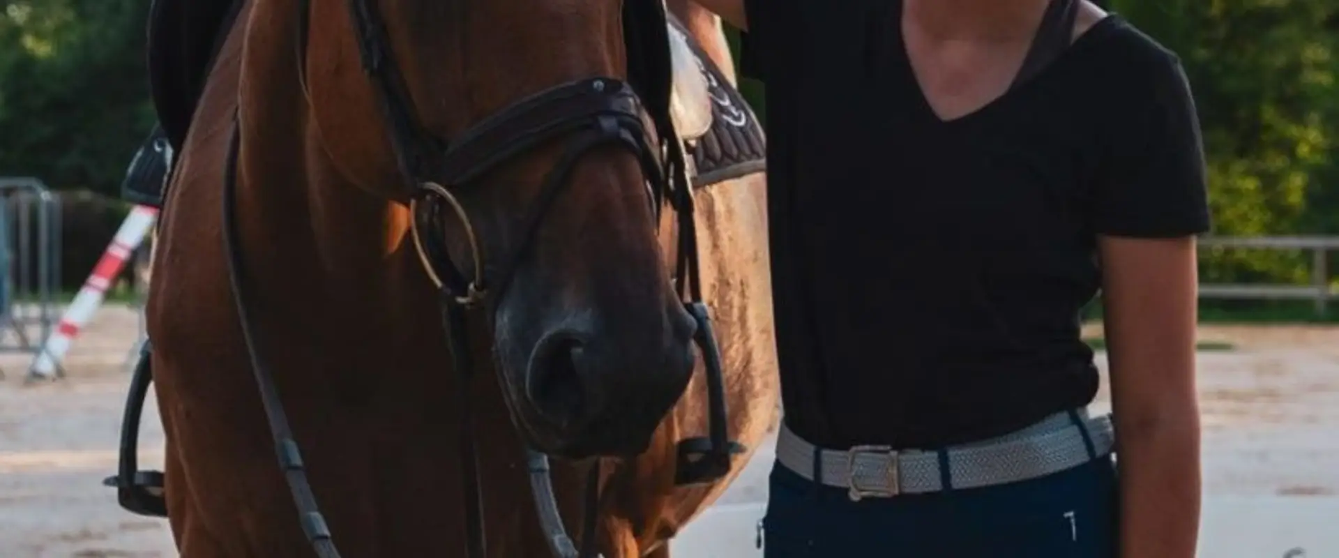 Ecurie Casa Nostra Recreation School D'équitation