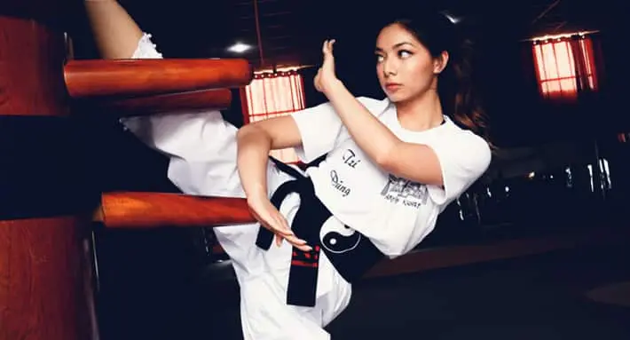 Shaolin Wing Chun Nam Anh Kung Fu Plateau Mont-Royal