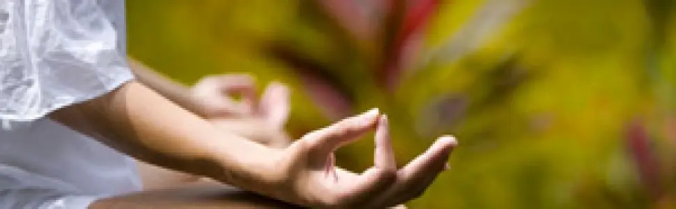 Wai Chung Yoga