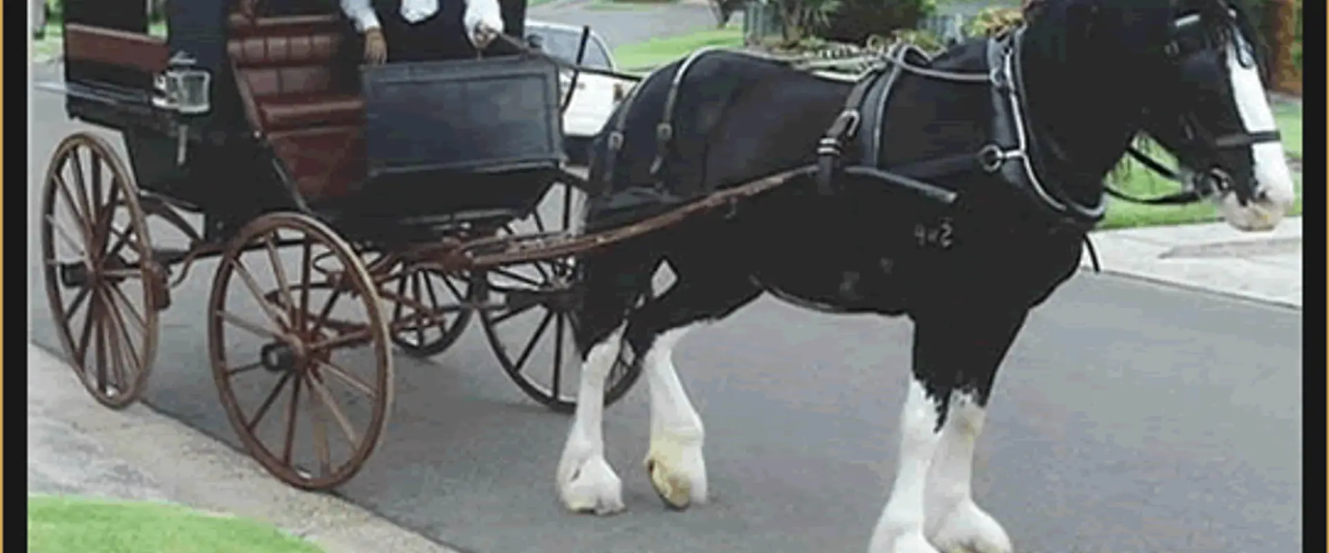 Ware's Livery Stables