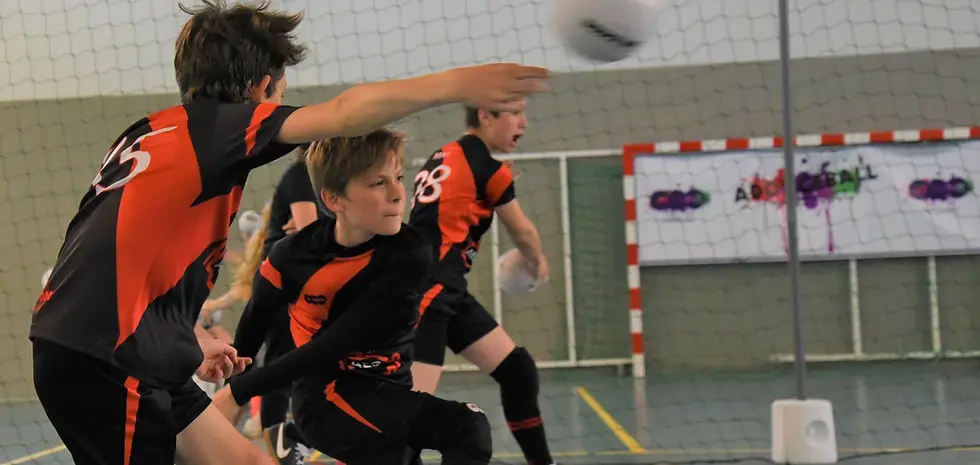 Dodgeball club 95