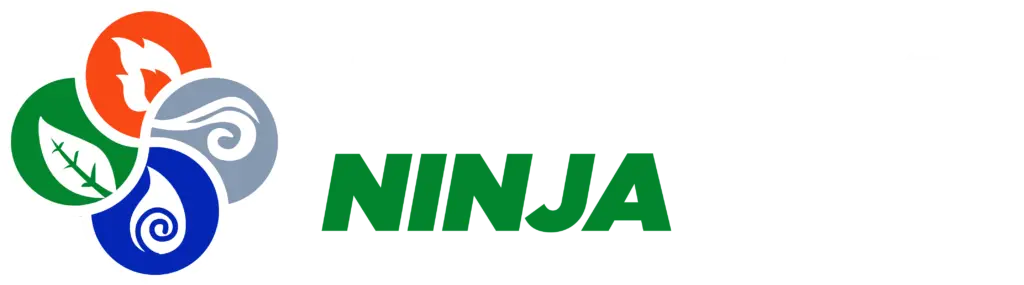 Elemental Ninja