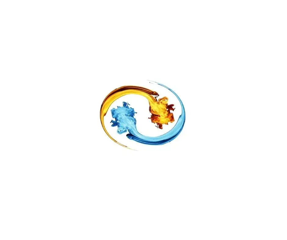 Laughing Monk Tai Chi